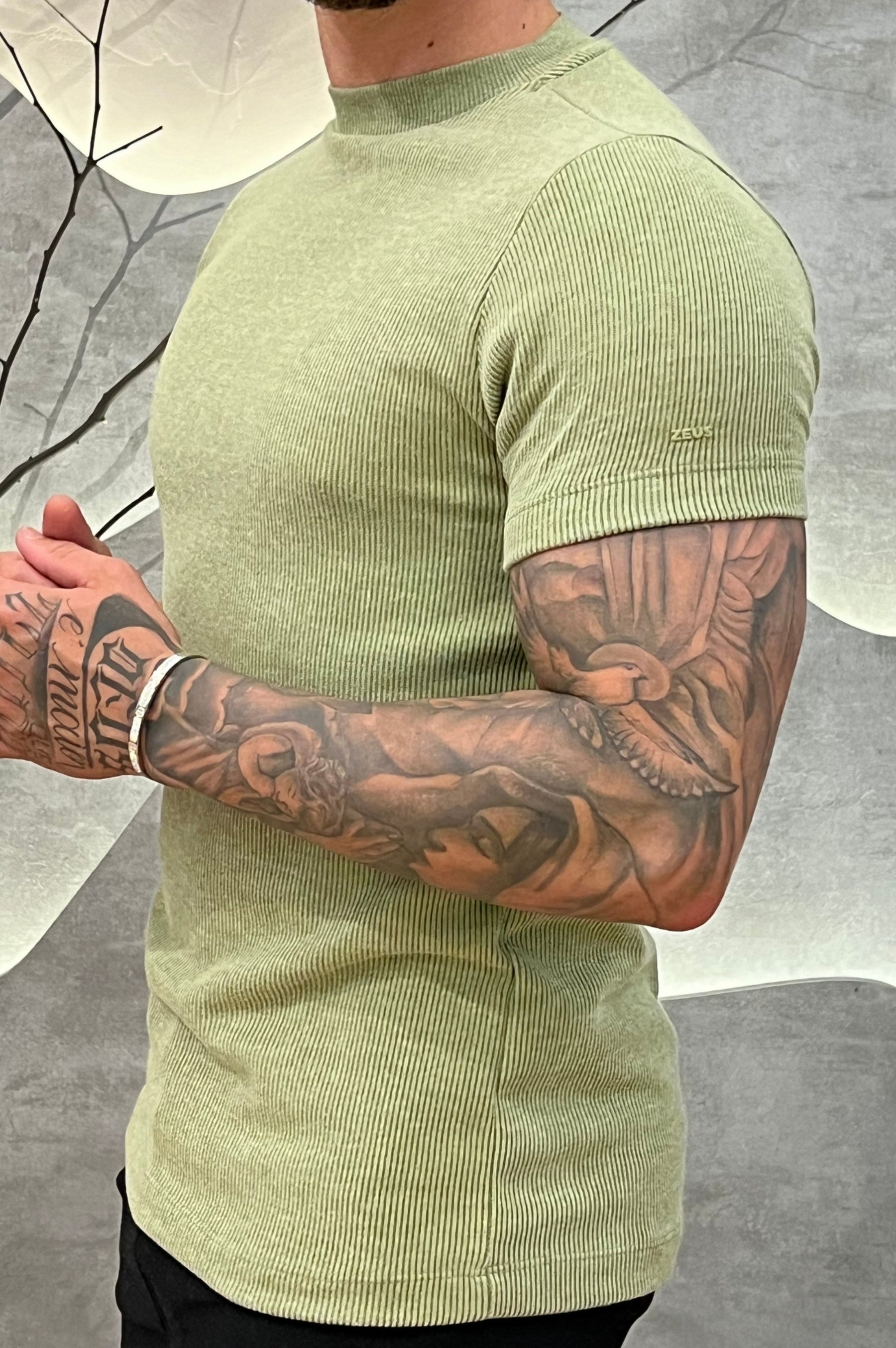 Camisa Tricochamp Canelada Zeus Verde Claro